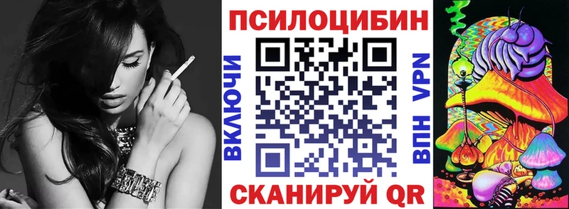 Галлюциногенные грибы Psilocybe  сайты даркнета какой сайт  Никольск  купить  