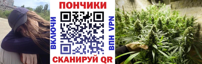 где можно купить   Никольск  МАРИХУАНА сатива 